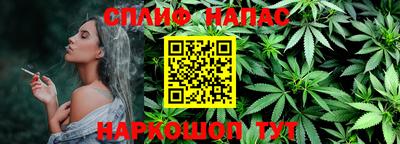 МДПВ Долгопрудный