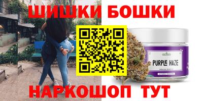 МДПВ Долгопрудный