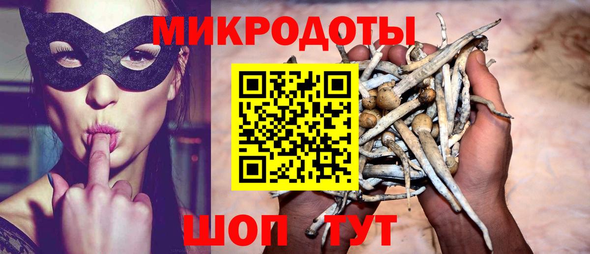 Псилоцибиновые грибы Psilocybine cubensis  Псилоцибиновые грибы мицелий  Вход с VPN  Долгопрудный 